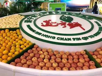 點(diǎn)贊!&ldquo;遂寧鮮&rdquo;成為全國(guó)首例&ldquo;地域+產(chǎn)品特性&rdquo;綜合型農(nóng)產(chǎn)品公用品牌