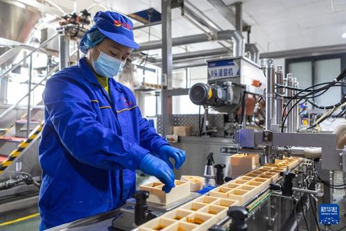 火鍋の產業(yè)チェーンで質の高ぃ経済発展を后押し 中國重慶市